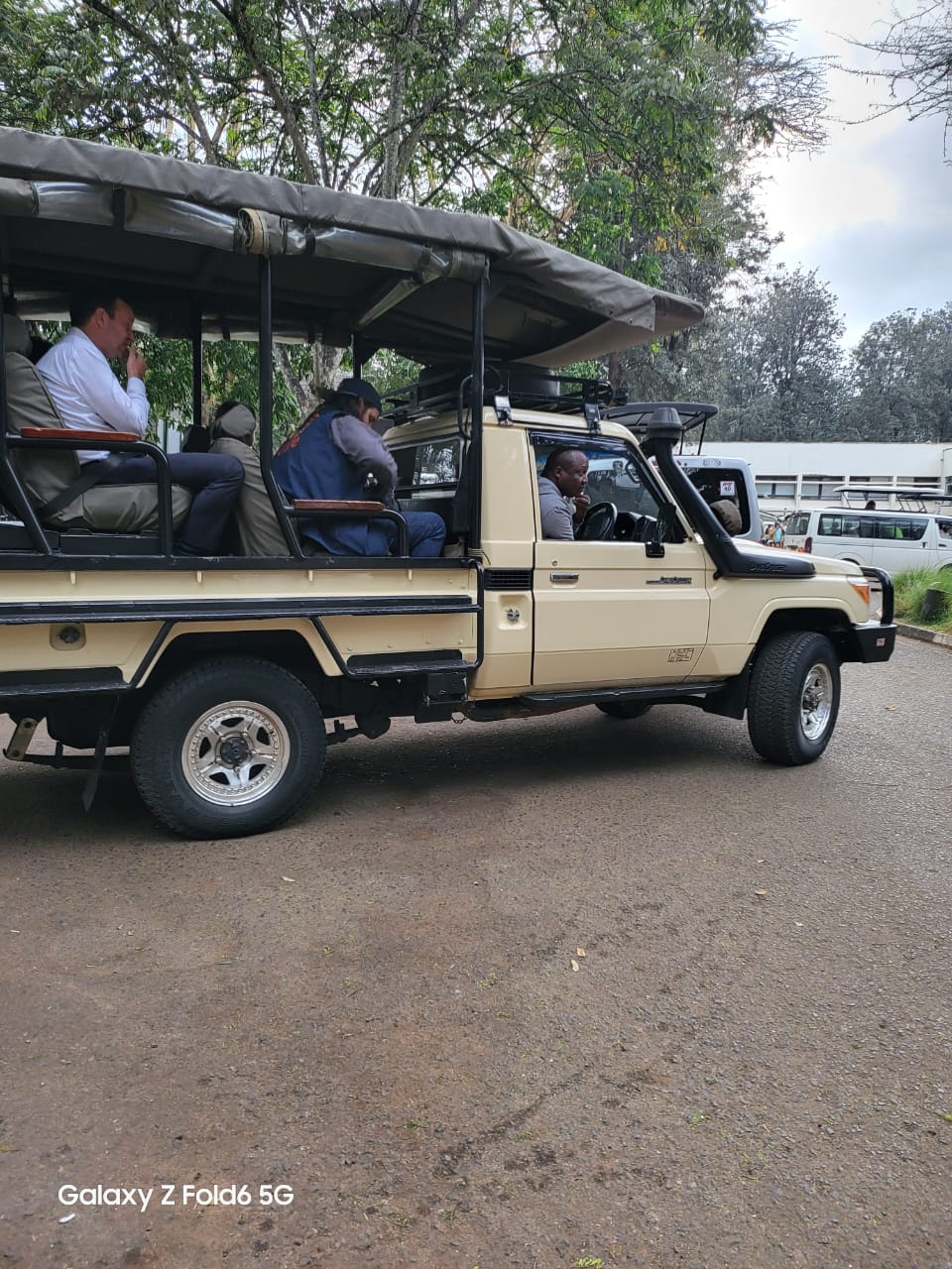 Safari wildlife